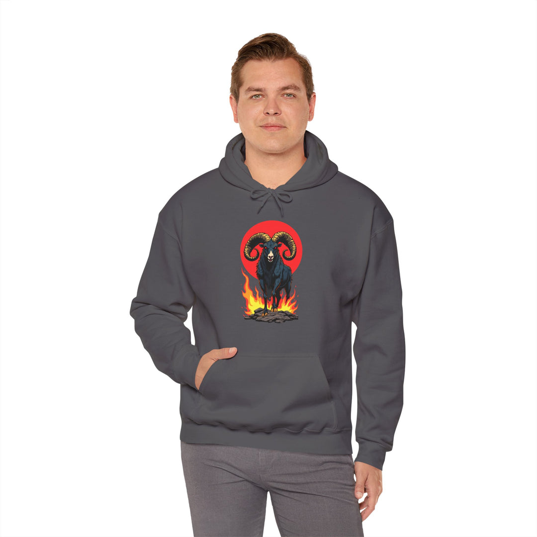 Aries Zodiac – Fearless & Bold Hoodie