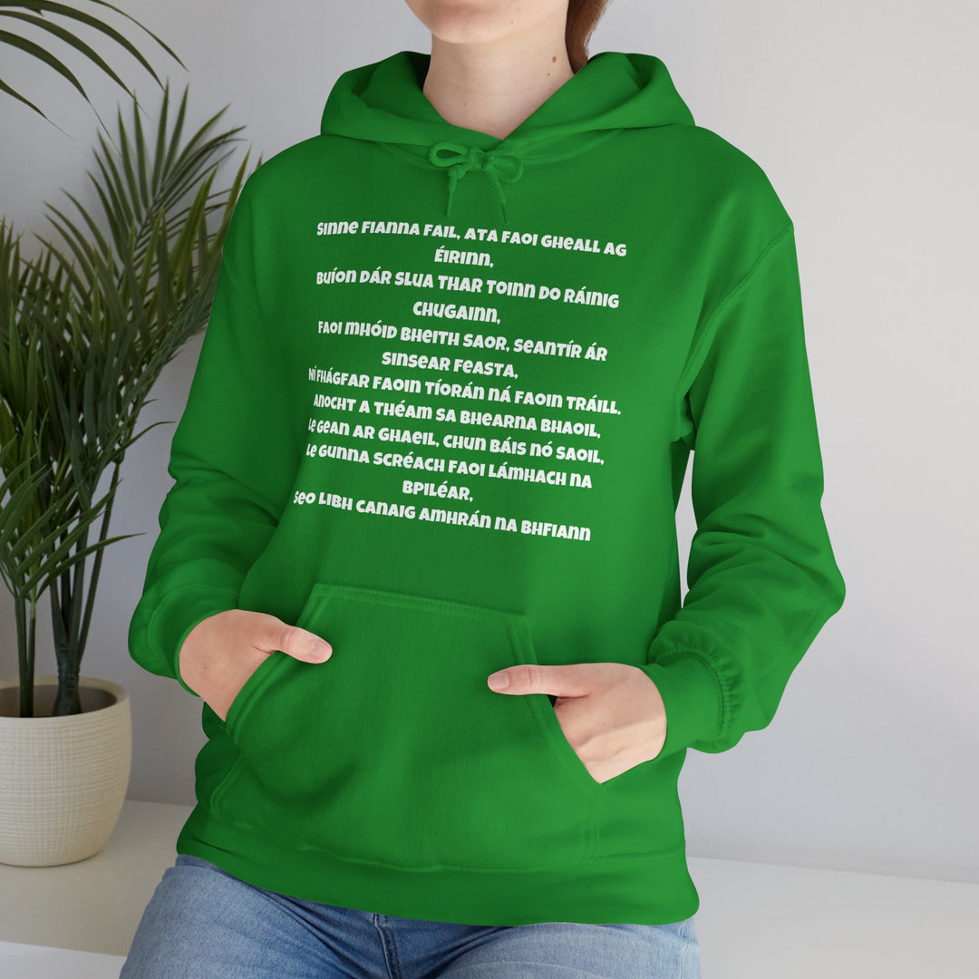 Irish Pride Hoodie – Gedurfd, dronken en patriottisch