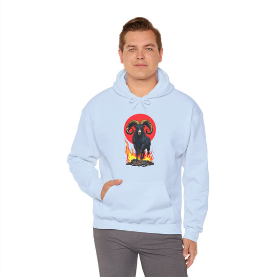 Aries Zodiac – Fearless & Bold Hoodie