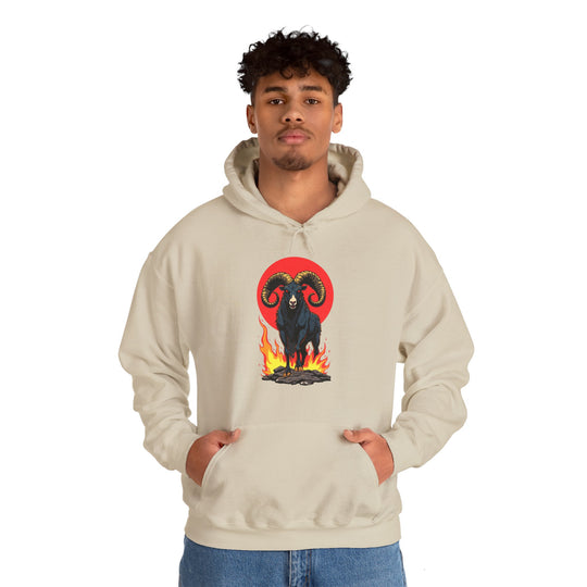 Aries Zodiac – Fearless & Bold Hoodie