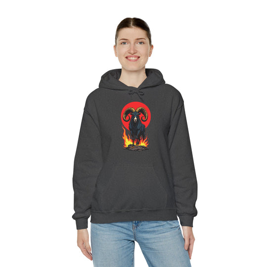 Aries Zodiac – Fearless & Bold Hoodie