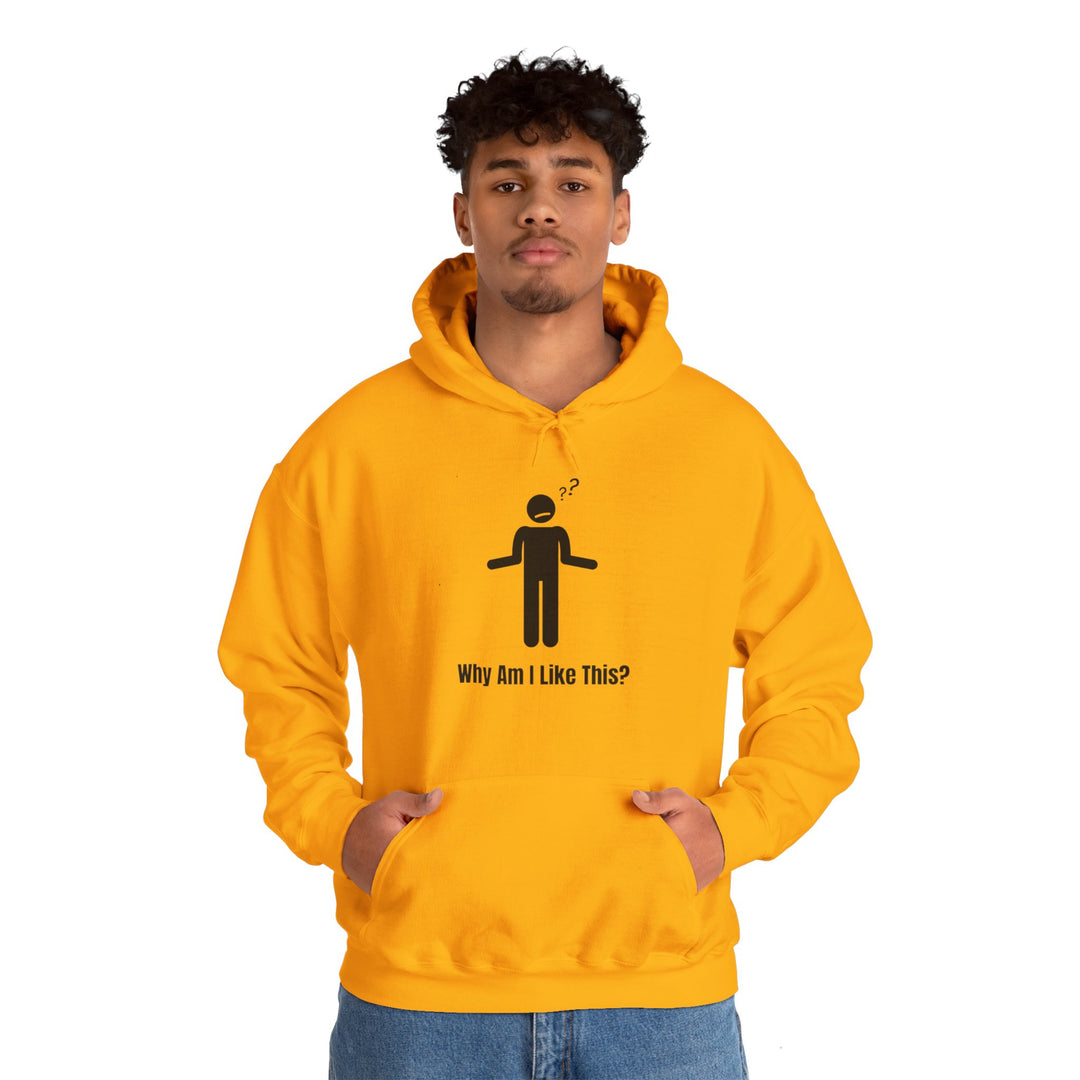 Why Am I Like This? Hoodie – Embrace the Chaos