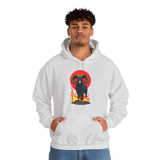 Aries Zodiac – Fearless & Bold Hoodie