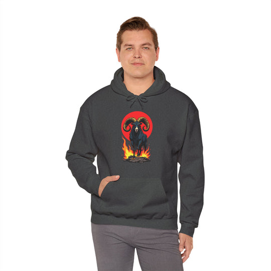 Aries Zodiac – Fearless & Bold Hoodie