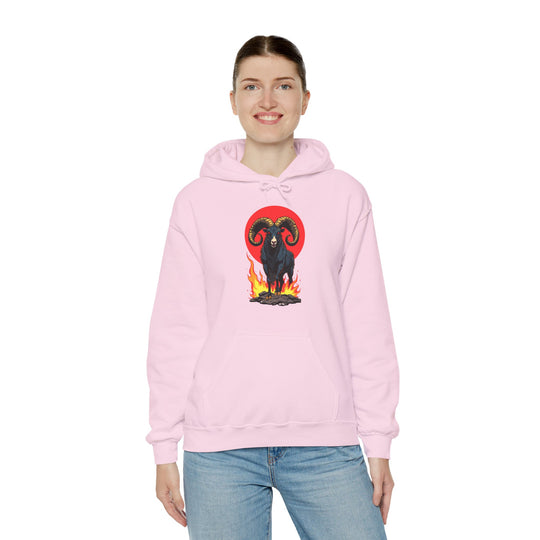 Aries Zodiac – Fearless & Bold Hoodie